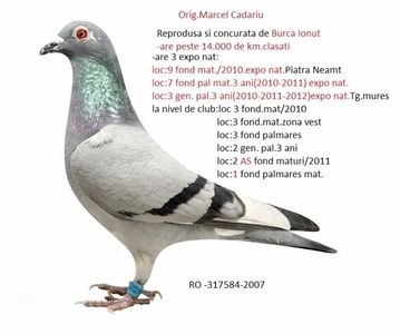 3 epo.nat.