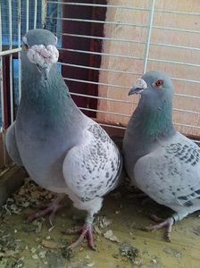 Photo0462