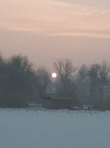 RASARIT; RASARIT PE LACUL SNAGOV 18.02.2017
