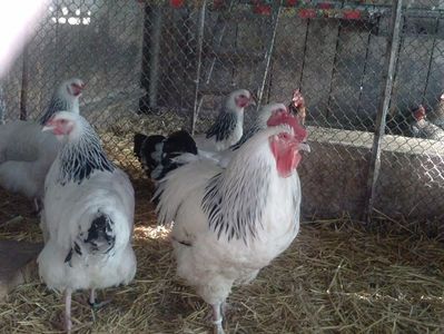 CAM01587