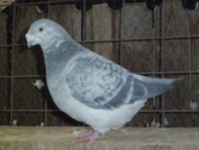 CIMG6167