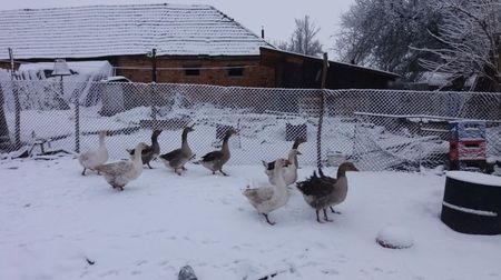 20170220_082232[2]