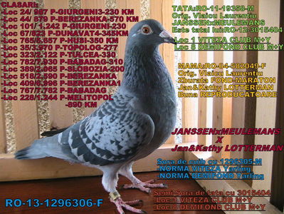 PRET: 250 LEI