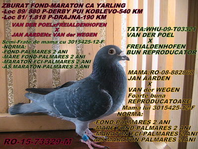 VÂNDUT