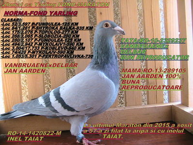 PRET: 300 LEI