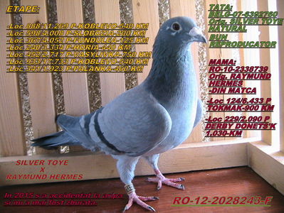 PRET: 250 LEI