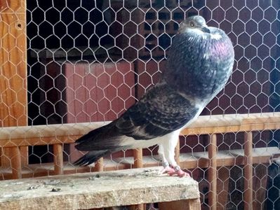 2; IMG_20161116_124922
