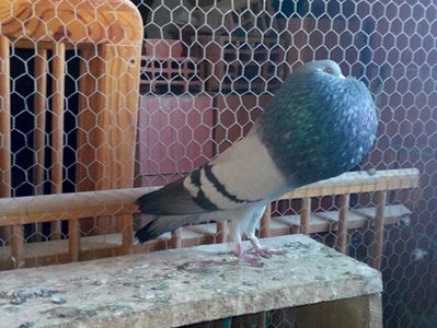 2; IMG_20161121_140810
