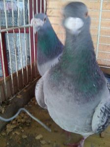 Photo0506