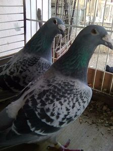 Photo0510