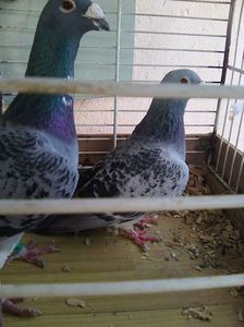 Photo0514