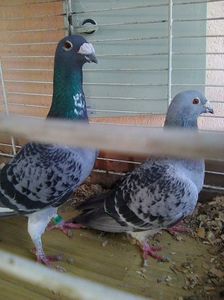 Photo0515