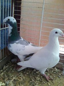 Photo0495