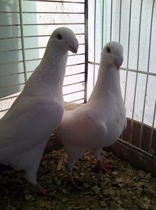 Photo0496