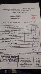 17 101