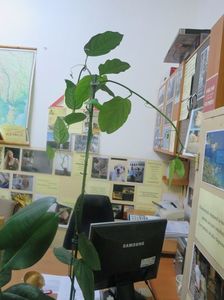 Picture 071