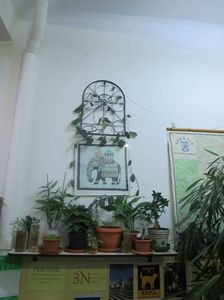 Picture 080