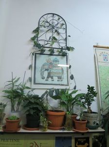 Picture 082