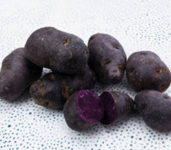 cartofii-mov 0721339995 cartofi violet; Vand cartofi mov violet albastri Parpel Peruvian Tel - +40721339995 ORIUNDE IN ROMANIA SI EUROPA soi Purpel Majesy - Blue Congo - Blue Salad .. Pretul este NEGOCIABIL 15-30 lei/kg  in functie de CANTI
