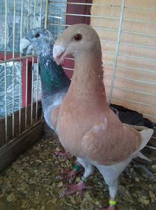 Photo0517
