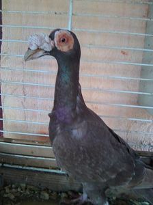 Photo0523