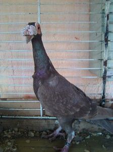 Photo0524