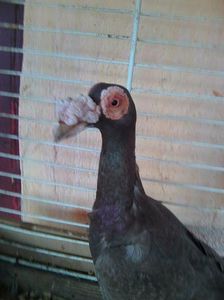 Photo0525