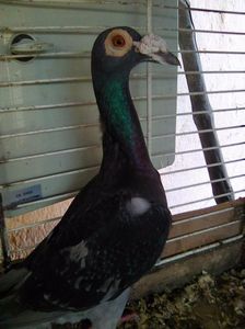 Photo0527