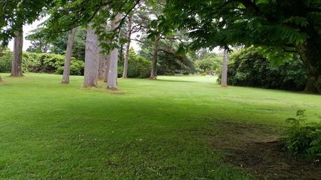 IMG-20160718-WA0205