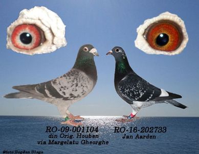 3w6h-520s282x4w6k-56oky