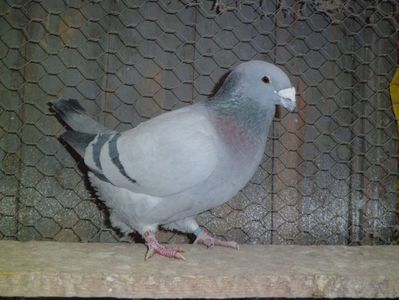 CIMG6228