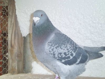 CIMG6555