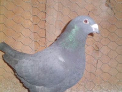CIMG6582