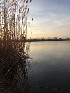 5Martie2017-Nanesti