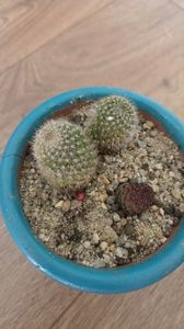 20170304_121247_HDR