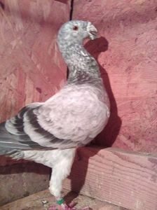 Photo0765