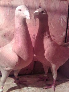 Photo0719