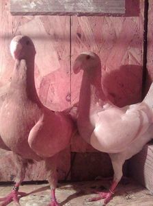 Photo0727