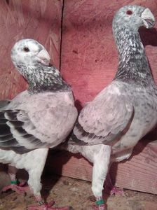 Photo0766