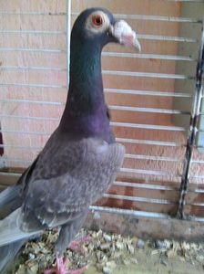 Photo0547