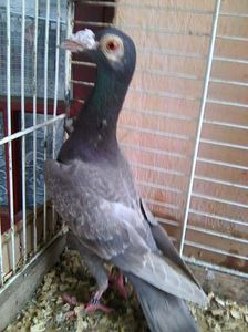 Photo0548