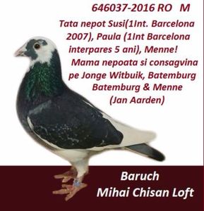 Baruch