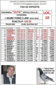 guta309410 2014