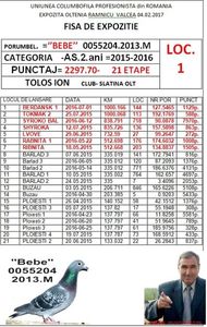 bebe 55204.2013