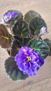 20170308_112159_HDR