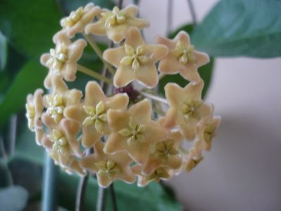 P1310054