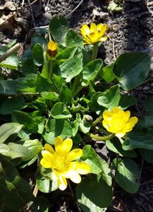 20170308_115128-1