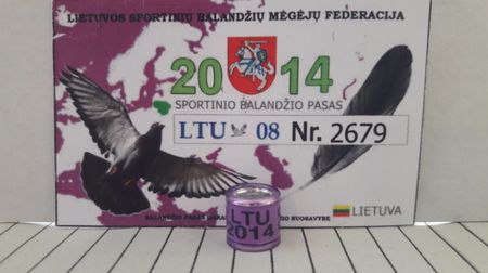 LTU 2014 - 08