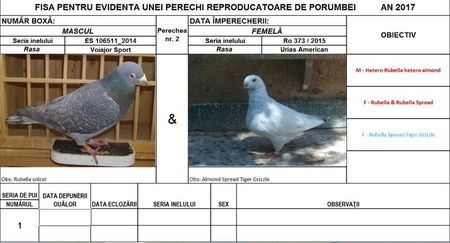 Perechea nr 2.2