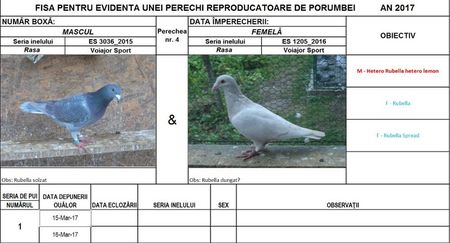 Perechea nr 4